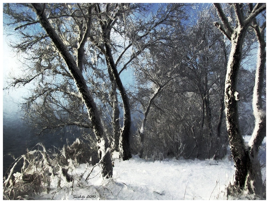 Фото жизнь