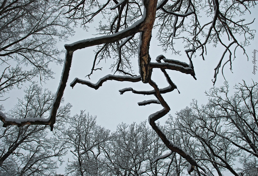 Фото жизнь