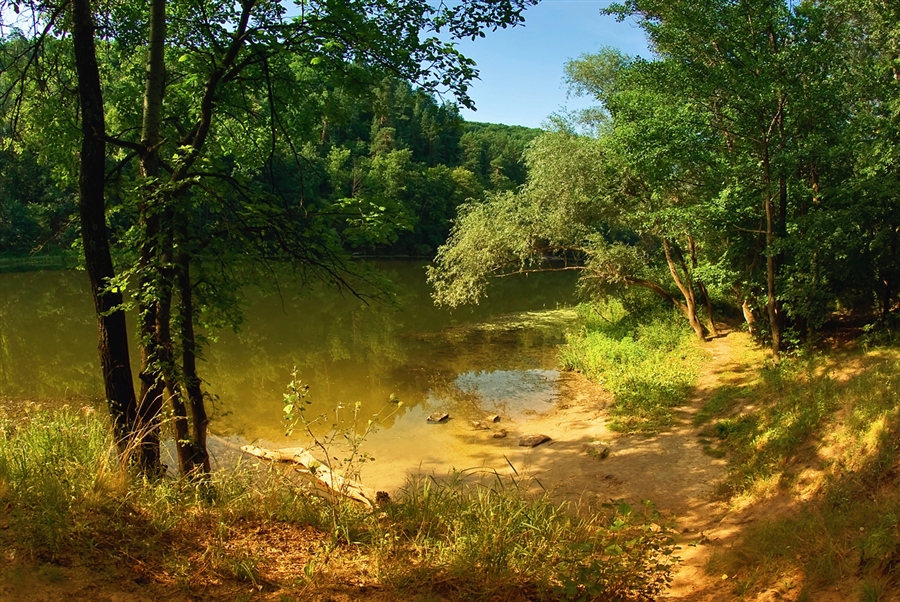 Фото жизнь