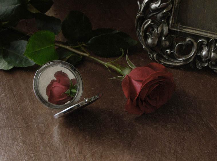 Фото жизнь - _N_ - этюды - с розой и зеркалом