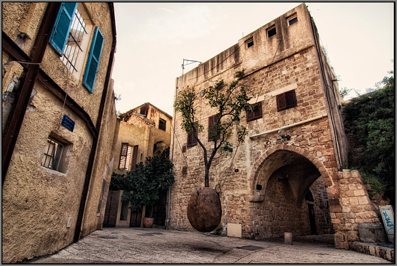 Фото жизнь (light) - Александр Толчинский - Тель-Авивский драйв - Yaffo 3864