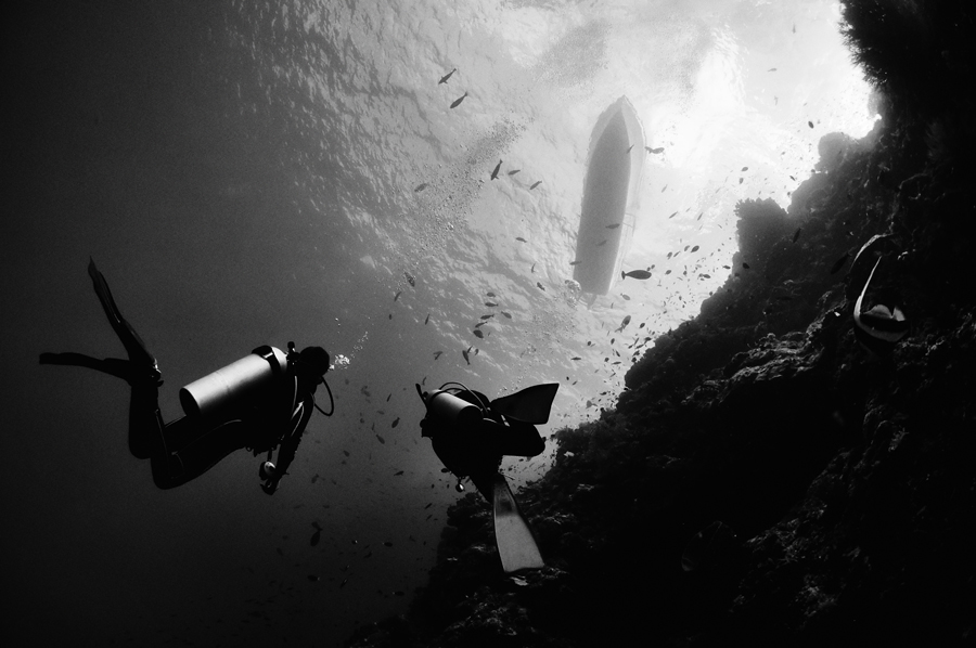 Фото жизнь (light) - Evgeniy Varnavskiy - Подводный мир - В поисках сокровищ