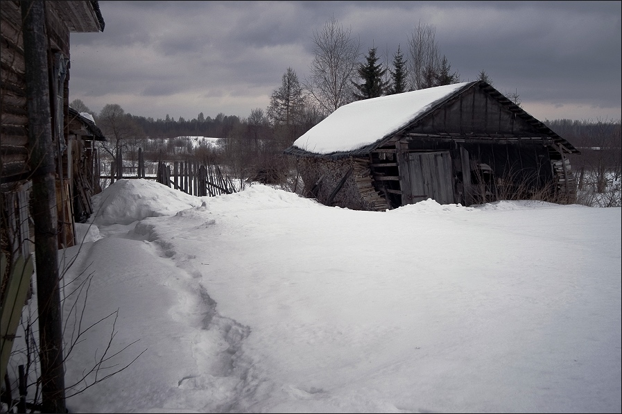 Фото жизнь