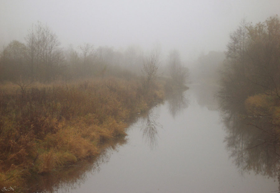 Фото жизнь - zalna - Времена года - Туманная река...