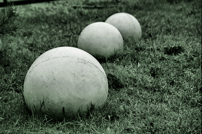 Фото жизнь (light) - Александр Адамович - корневой каталог - Формы