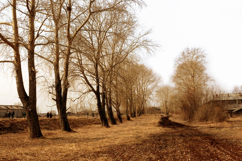 Фото жизнь (light) - Vorobyev_Roman - корневой каталог - тополя
