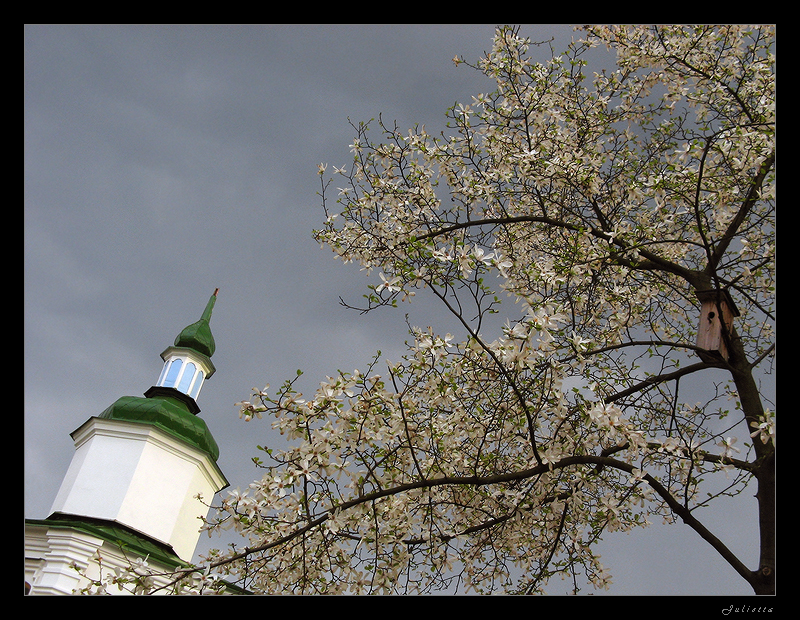 Фото жизнь (light) - Julietta (Муха Юлия) - Святыни киевские - в цвету магнолий пред грозою...