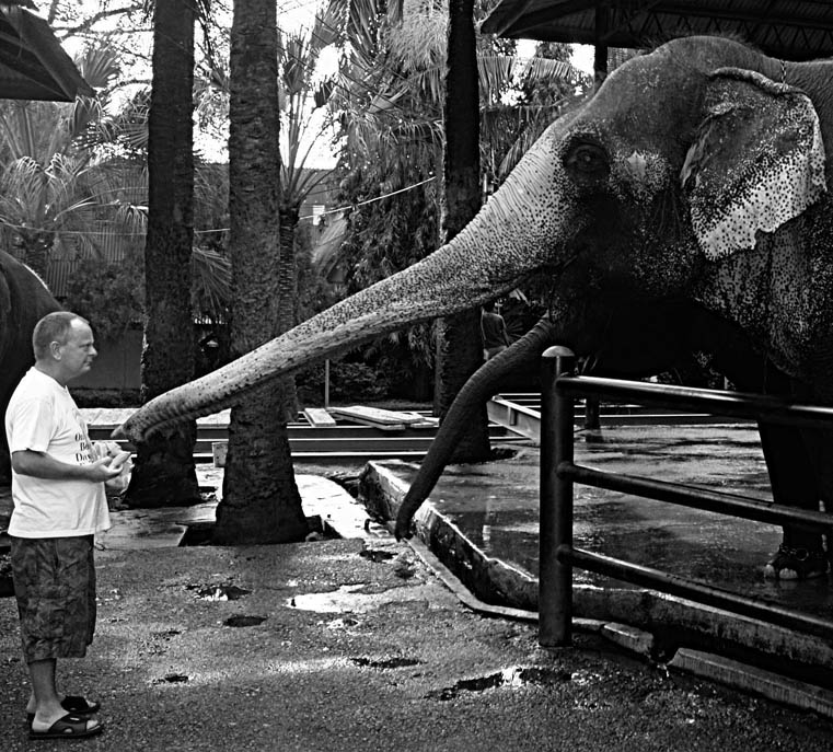 Фото жизнь (light) - Александр Шустер - корневой каталог - 	ELEF-O 