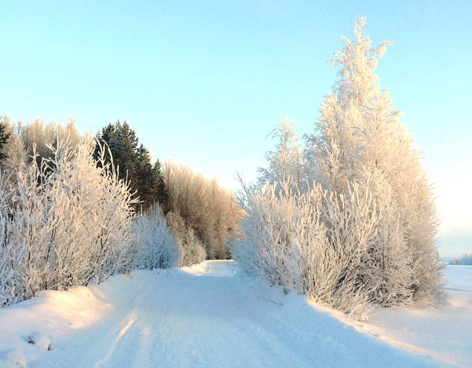 Фото жизнь (light) - Vorobyev_Roman - корневой каталог - б/н