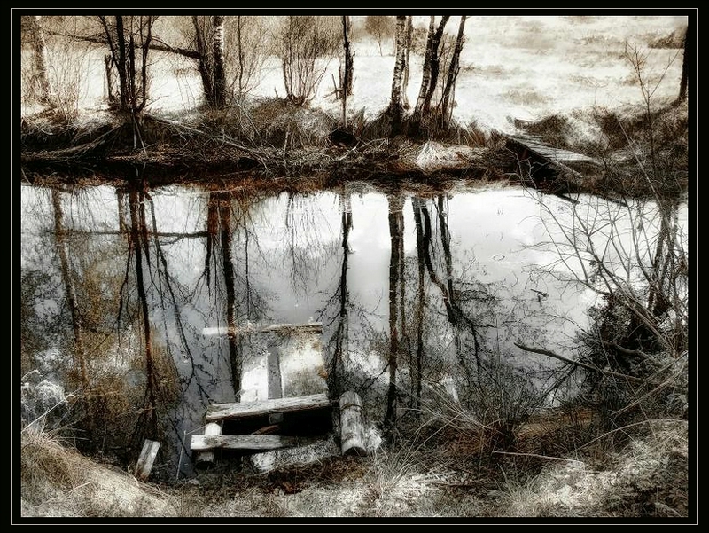 Фото жизнь - Павел - корневой каталог - Старый пруд