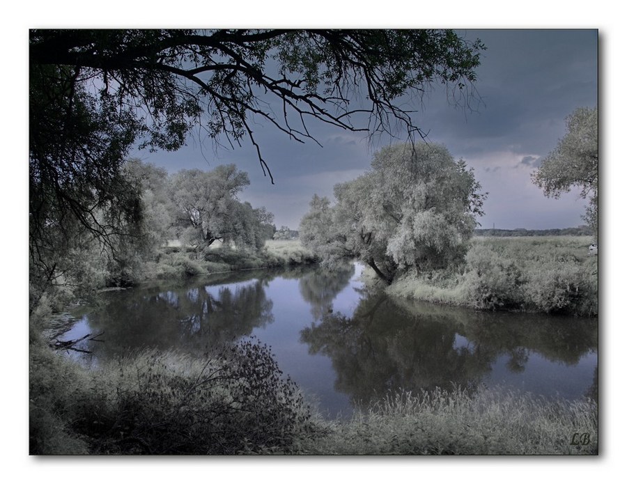 Фото жизнь (light) - Людмила Багдасарян - Пейзажи - А завтра была зима....