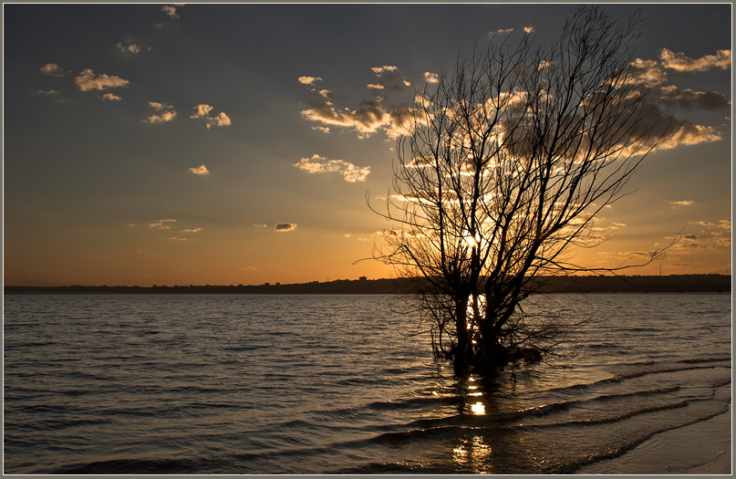 Фото жизнь (light) - Михаил Филиппов  - Весеннее настроение - Из темы одиночества