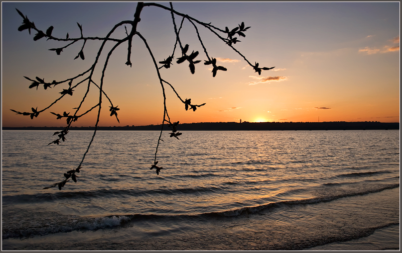 Фото жизнь (light) - Михаил Филиппов  - Весеннее настроение - Узоры весны