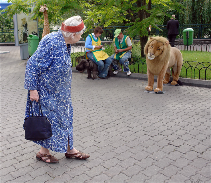 Фото жизнь