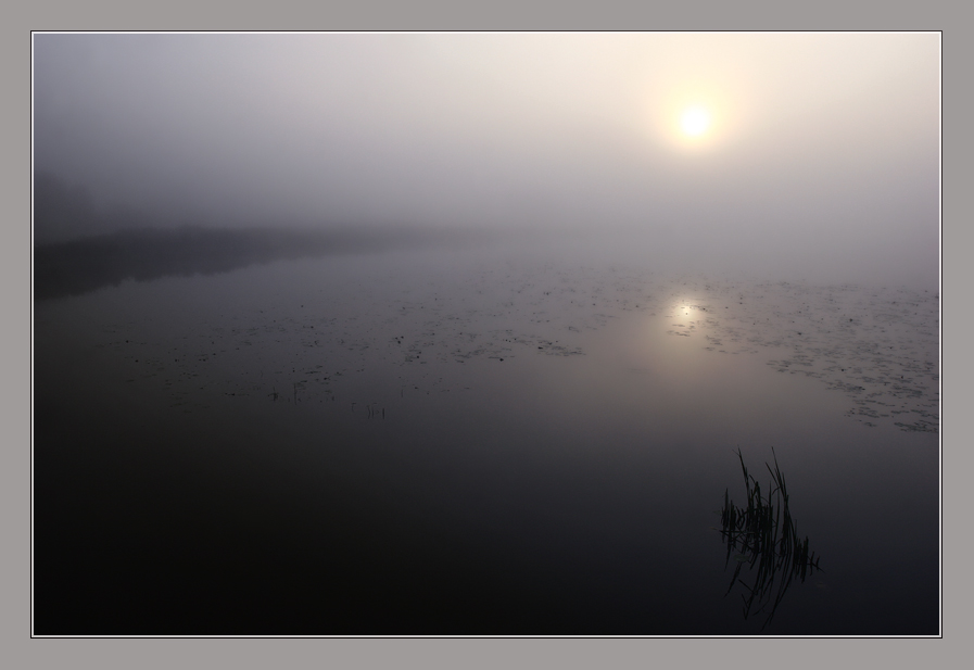 Фото жизнь (light) - JAndrei - ФОТОСАЙТ.RU - Затянувшаяся осенью тумана.