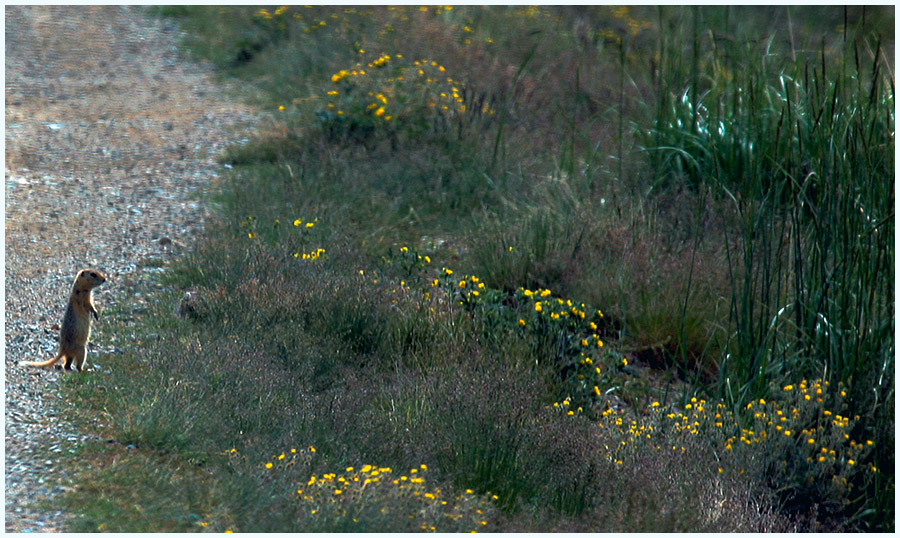 Фото жизнь (light) - Анатолий Левочкин - Там где рождаються легенды - Очарованный странник