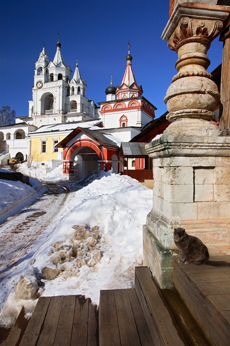 Фото жизнь