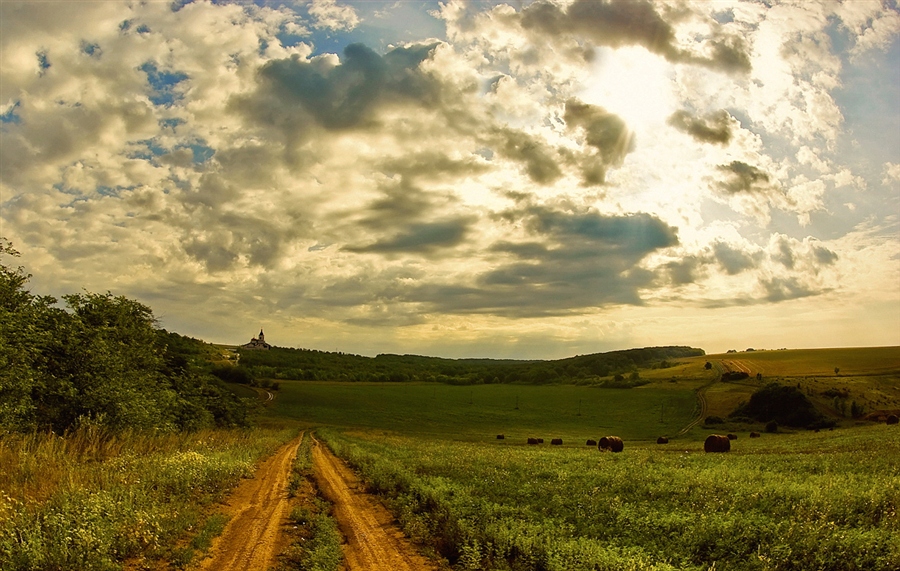 Фото жизнь