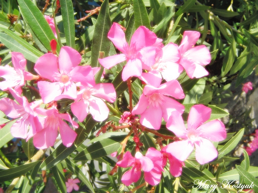 мммммммммммм