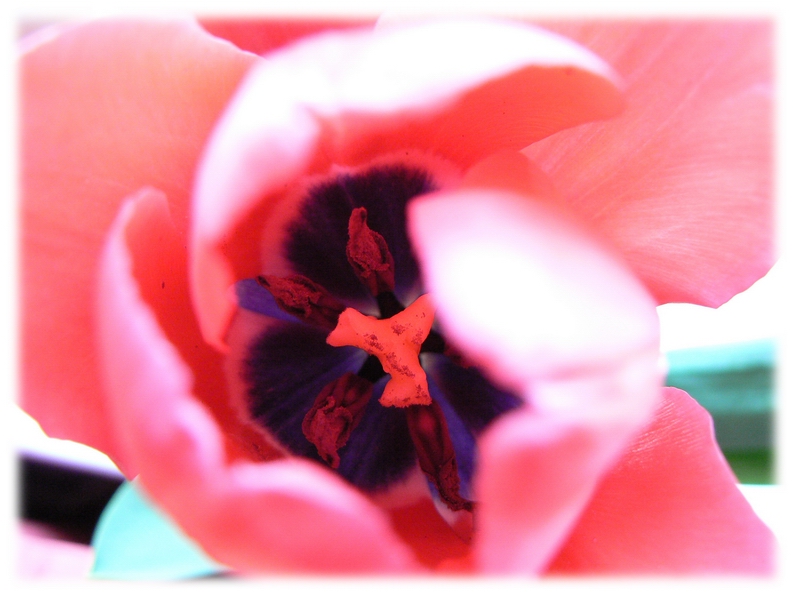 Фото жизнь (light) - heavenly_host - корневой каталог - New rising star