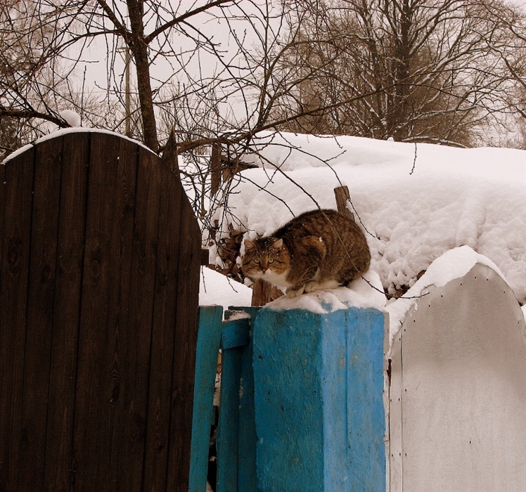 Фото жизнь