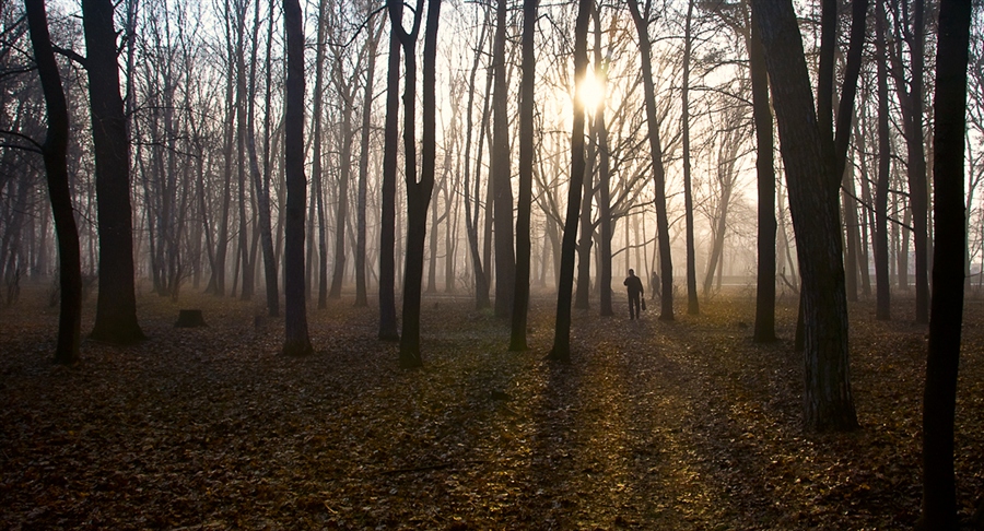 Фото жизнь