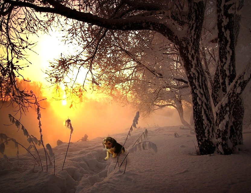 Фото жизнь