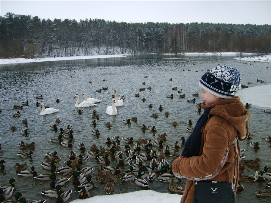 Фото жизнь