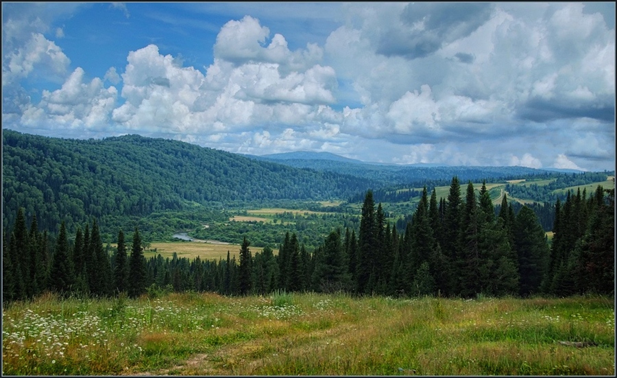 Фото жизнь
