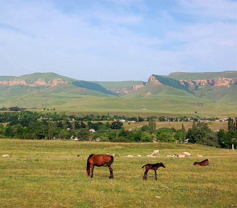 Фото жизнь