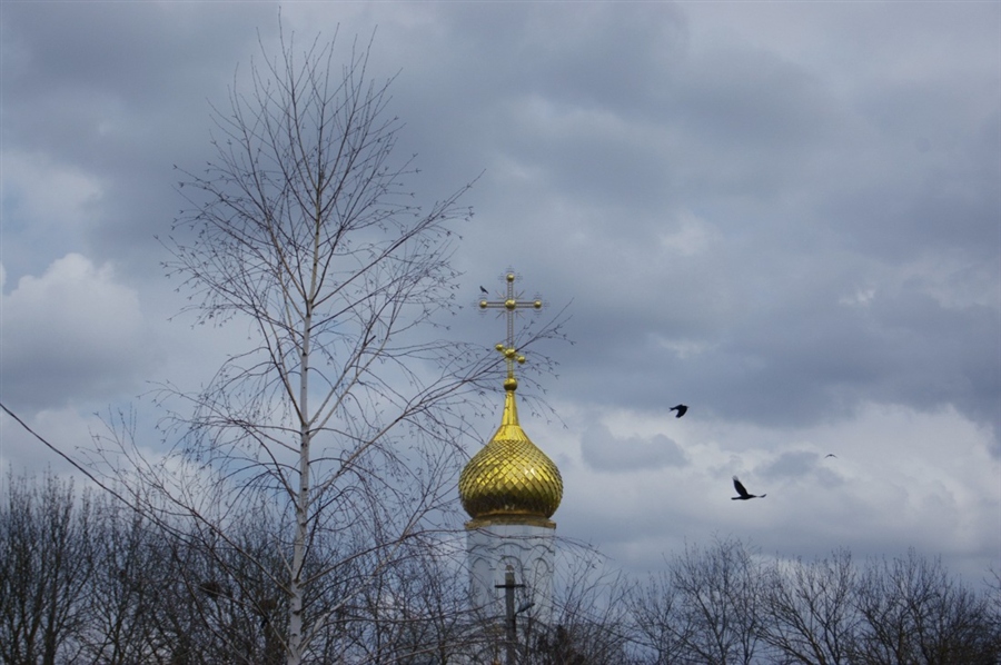 Фото жизнь