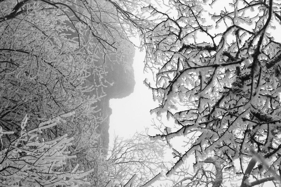 Фото жизнь - mcluckway - Крымская эпопея... - Черное и белое... или профиль Зимы