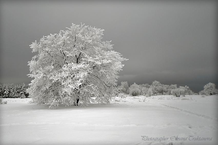 Фото жизнь (light) - _Oksana_ - Пейзажи - *