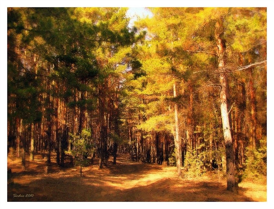 Фото жизнь