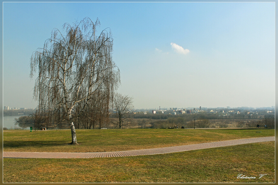 Фото жизнь (light) - Ekaterina_Ark - корневой каталог - Родная земля...