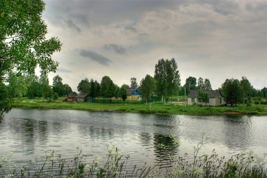 Фото жизнь