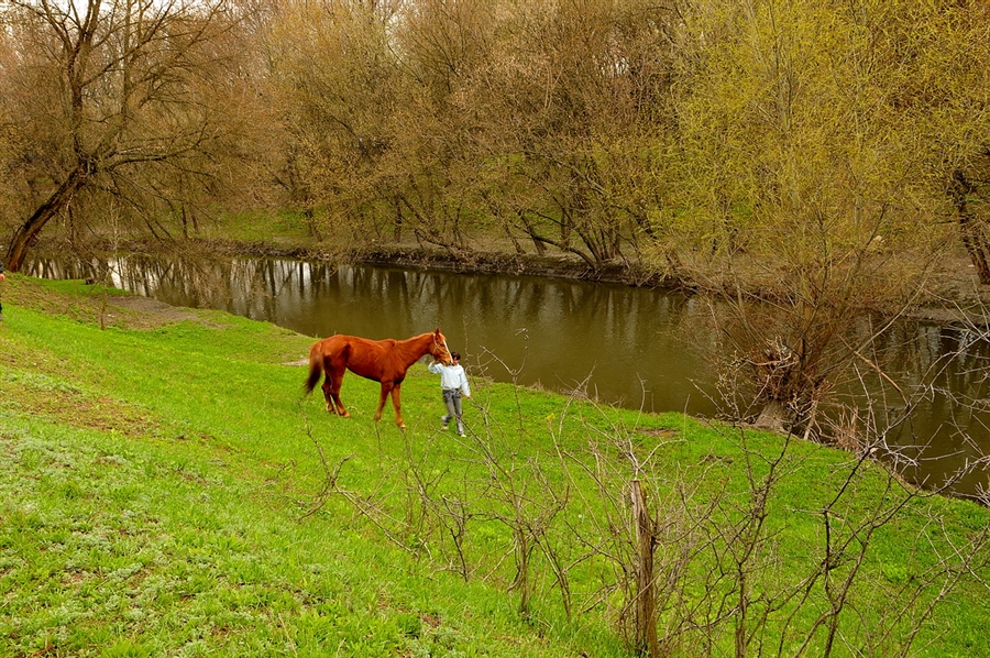 Фото жизнь