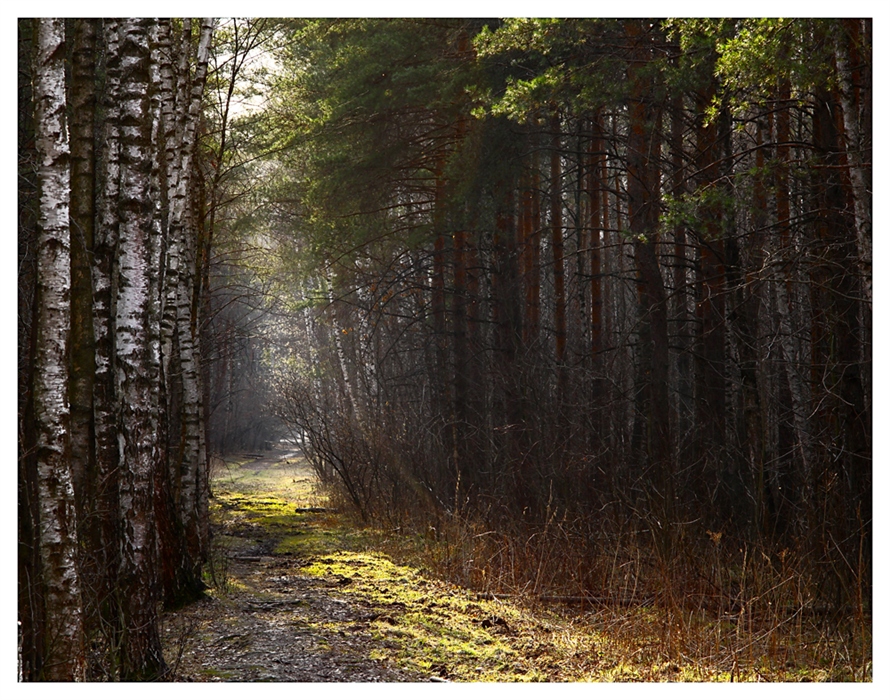 Фото жизнь