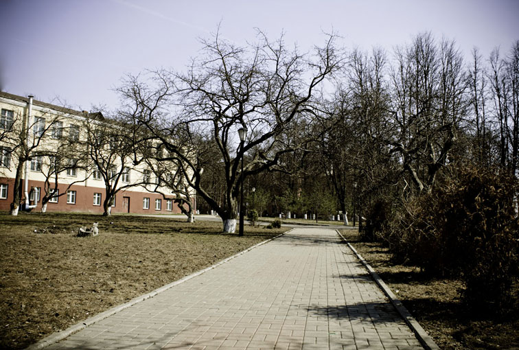 Фото жизнь - Melanie - [nature] - ***