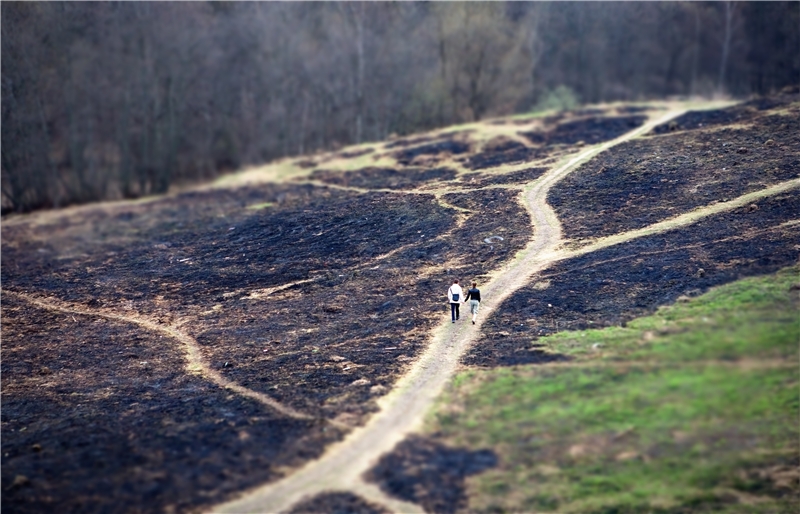 Фото жизнь (light) - MEgBEgb - корневой каталог - Зола...
