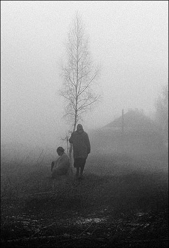 Фото жизнь (light) - Victoria Perevoschikova - корневой каталог - вечное