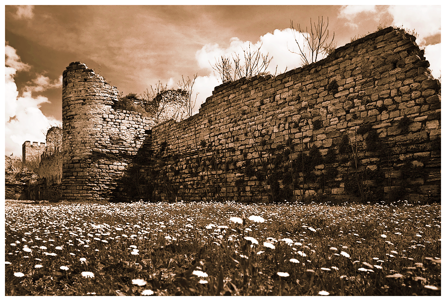 Фото жизнь - maverick - Город контрастов - Старые стены