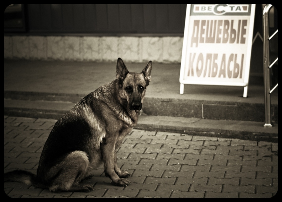 Фото жизнь