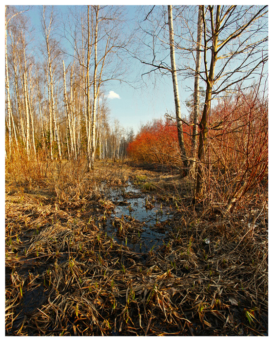 Фото жизнь (light) - Alexander Martynov - корневой каталог - ***
