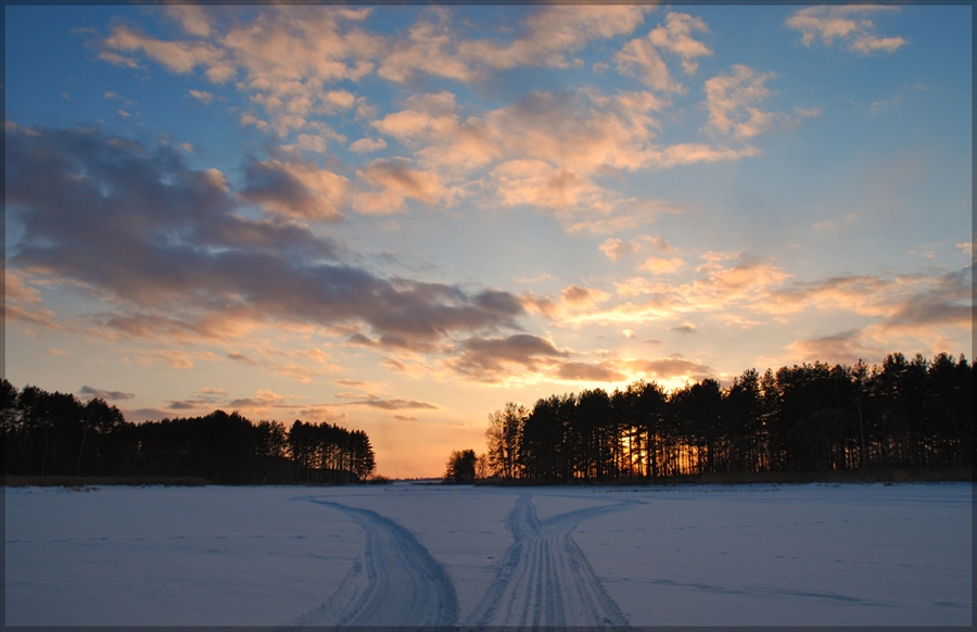 Фото жизнь