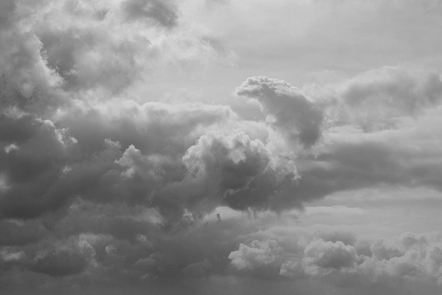 Фото жизнь (light) - Андрей Медведев - Природа - *