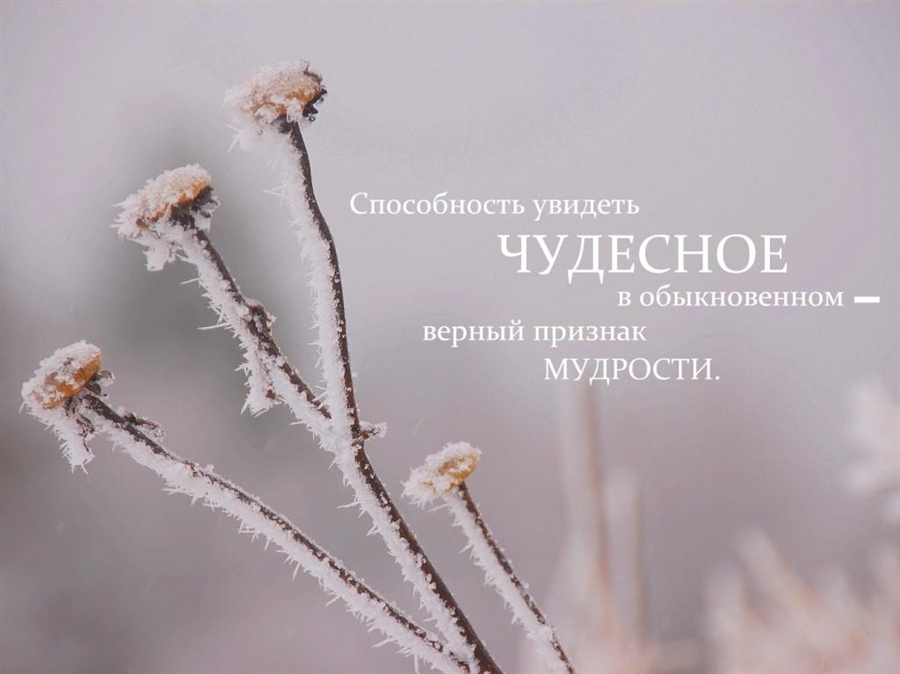 Фото жизнь