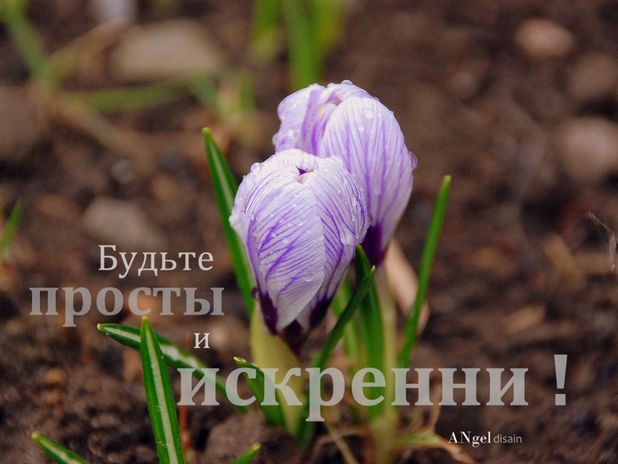 Фото жизнь