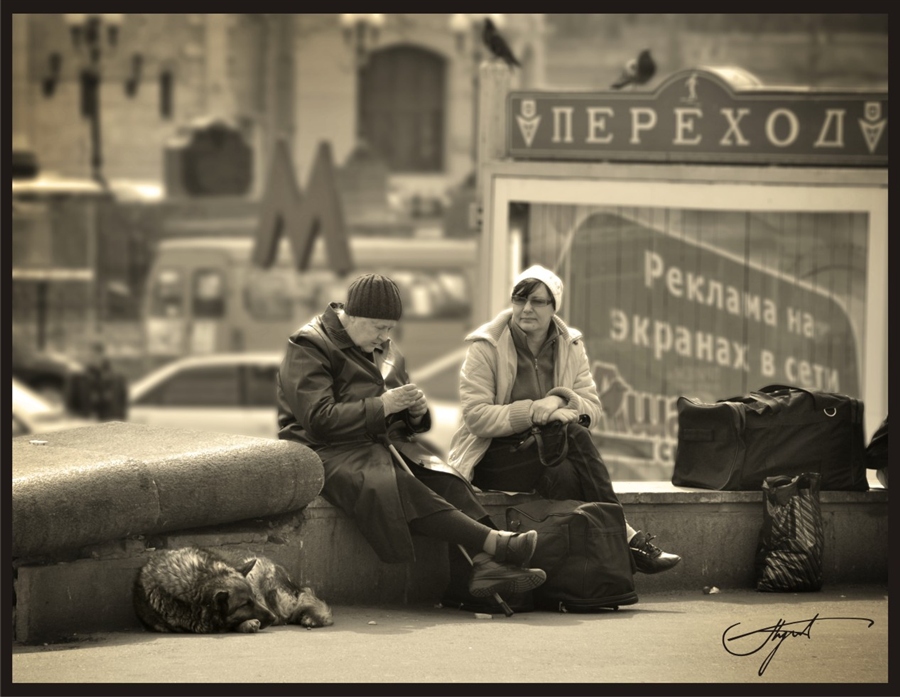 Фото жизнь