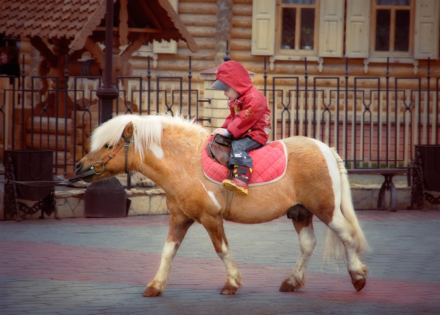 Фото жизнь